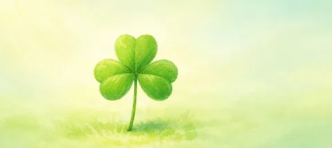 모임 대표 이미지