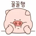 member face