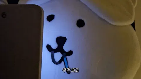 정모 대표 이미지