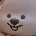 member face