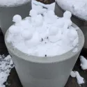 member face