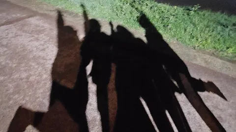 정모 대표 이미지