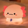 member face