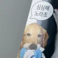 member face