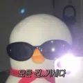member face