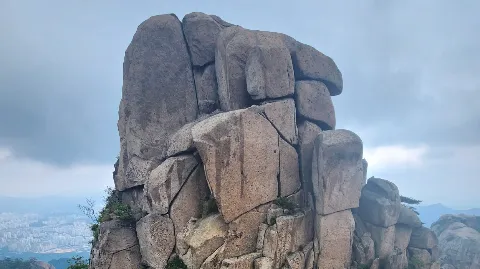 정모 대표 이미지