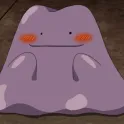 member face