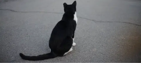 모임 대표 이미지