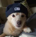 member face