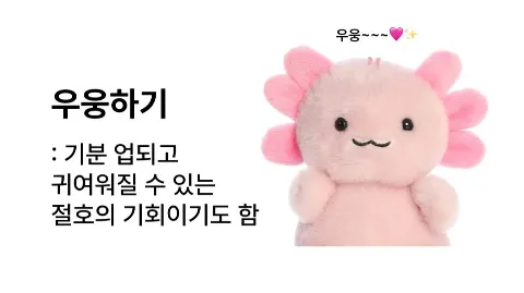 정모 대표 이미지