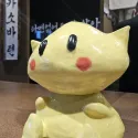 member face