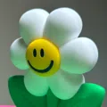 member face