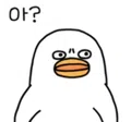 member face