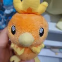 member face