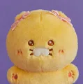 member face