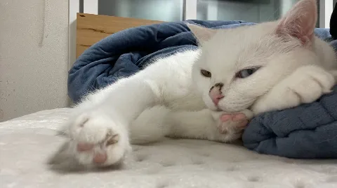 정모 대표 이미지