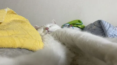 정모 대표 이미지