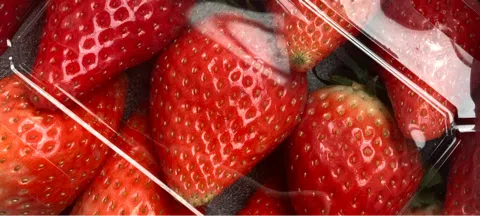 모임 대표 이미지