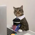 member face