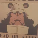 member face