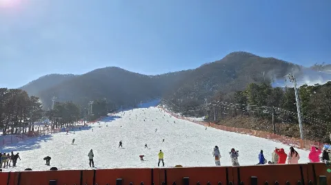 정모 대표 이미지