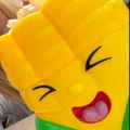 member face