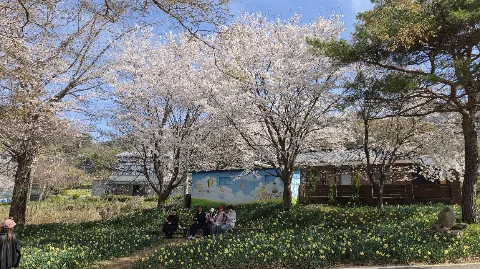 정모 대표 이미지