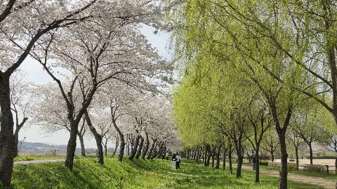 정모 대표 이미지