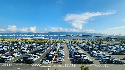 정모 대표 이미지