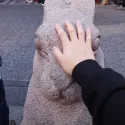 member face