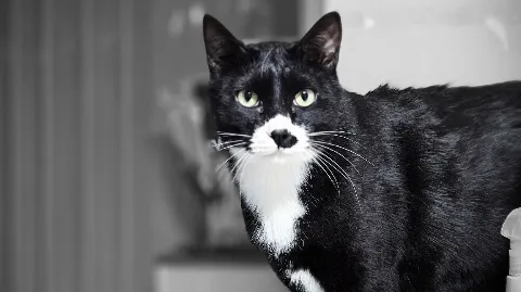 정모 대표 이미지