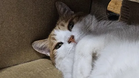 정모 대표 이미지