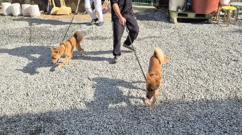정모 대표 이미지