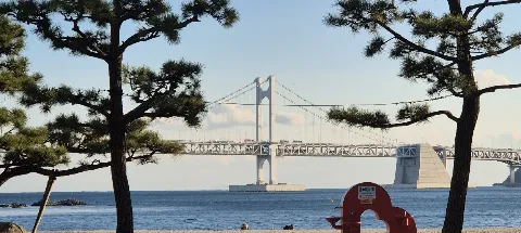 모임 대표 이미지