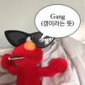 member face