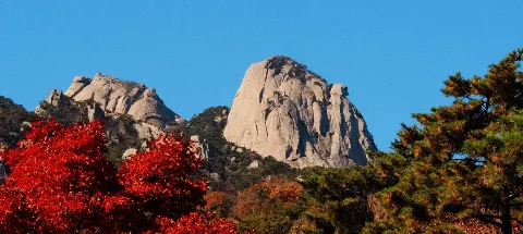 모임 대표 이미지