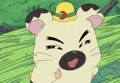 member face