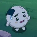 member face