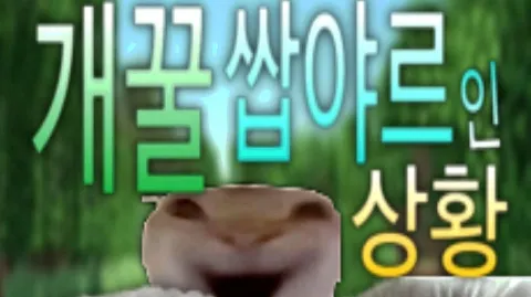 정모 대표 이미지