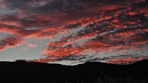 정모 대표 이미지