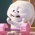 member face