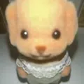 member face