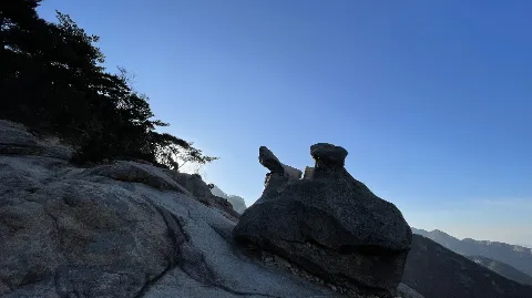 정모 대표 이미지