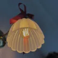 member face