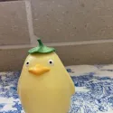 member face