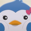 member face