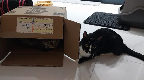 정모 대표 이미지