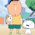 member face