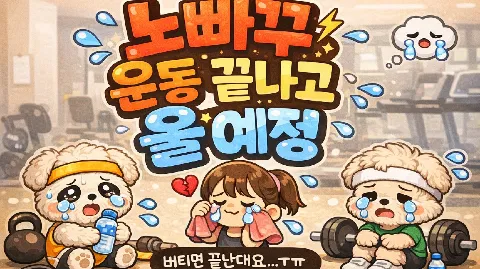 정모 대표 이미지