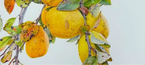 모임 대표 이미지